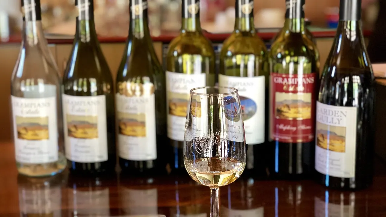 Copas y botellas de vino preparadas para presentar una experiencia en una bodega